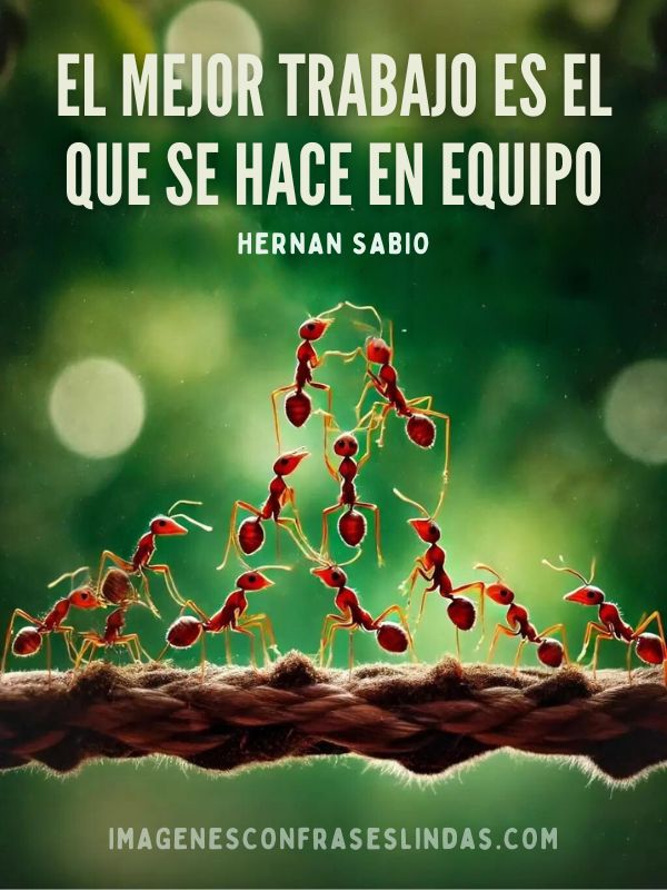 El mejor trabajo es el que se hace en equipo