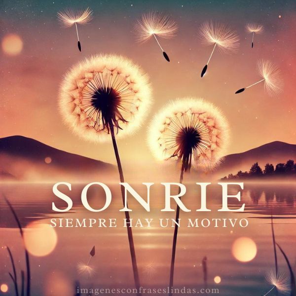 Sonríe, siempre hay un motivo