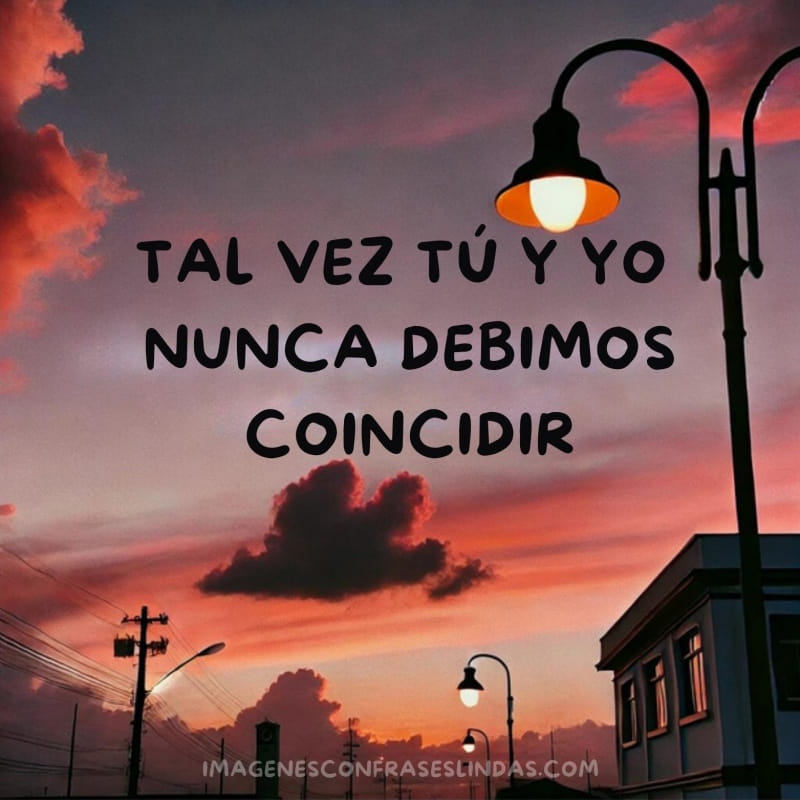tal vez tu y yo nunca debimos coincidir