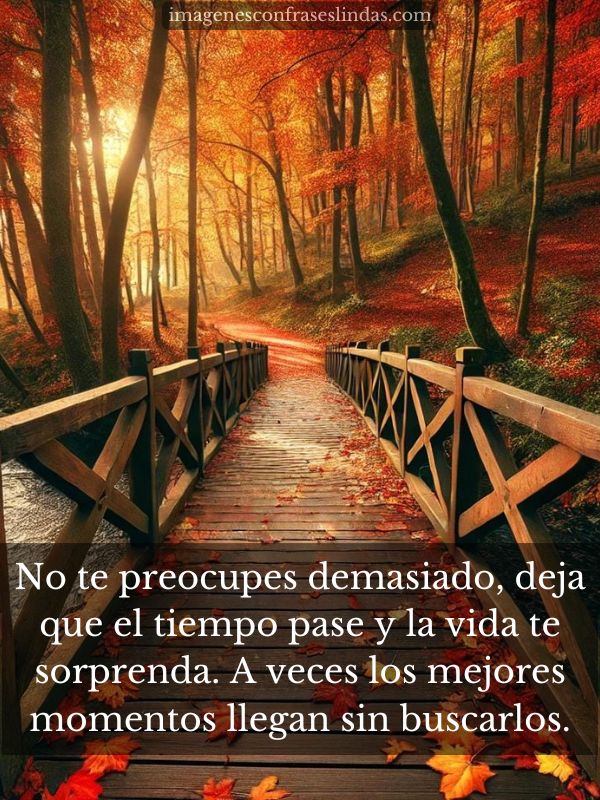 No te preocupes demasiado, deja que el tiempo pase y la vida te sorprenda