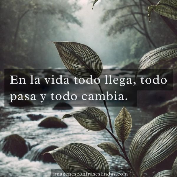 En la vida todo llega, todo pasa y todo cambia