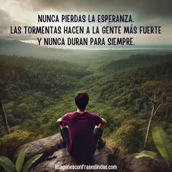 Nunca pierdas la esperanza. Las tormentas hacen a la gente más fuerte y nunca duran para siempre